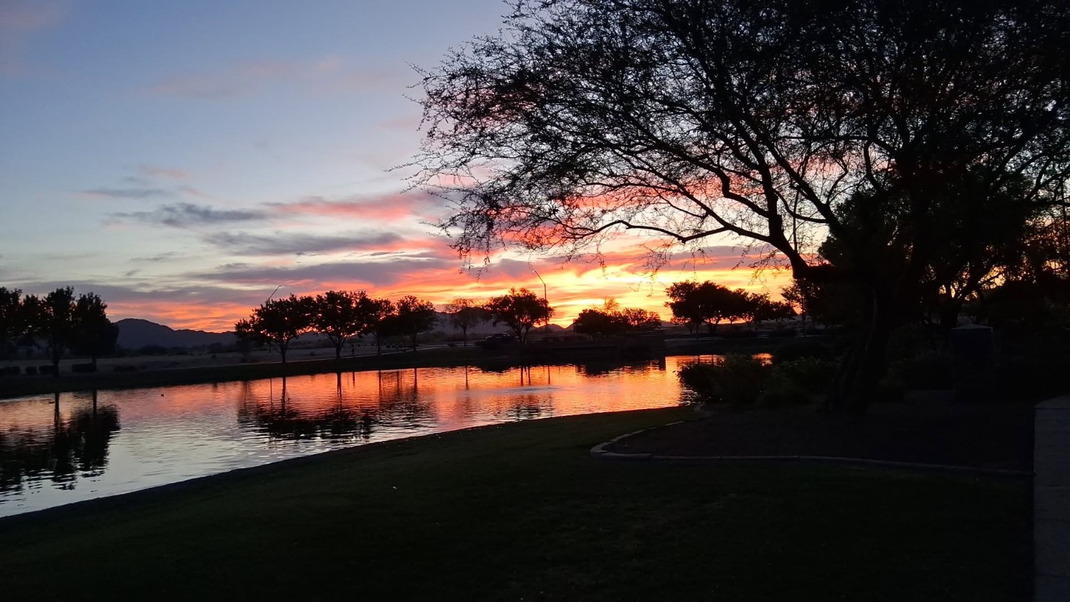 Bright orange sunset reflected in a calm lake, with a large silhouetted tree on the right